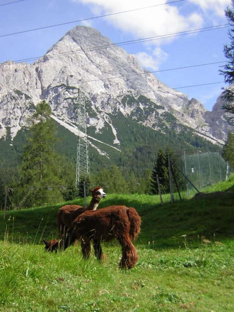 Gaestehaus Panorama Biberwier Kültér fotó